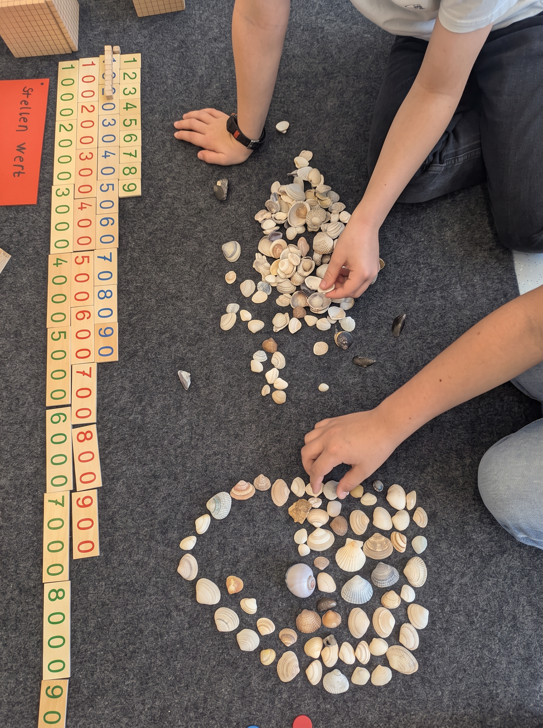 Muscheln werden zu einem Mandala sortiert – daneben Stellenwert-Karten